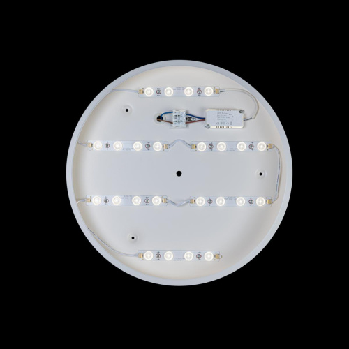 Потолочный светодиодный светильник Loft IT Axel 10003/24 white Потолочный светодиодный светильник Loft IT Axel 10003/24 white
