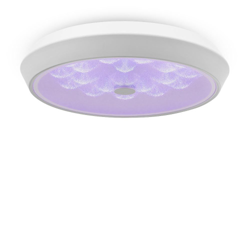Потолочный светодиодный светильник Freya Cells FR10012CL-L24W Потолочный светодиодный светильник Freya Cells FR10012CL-L24W