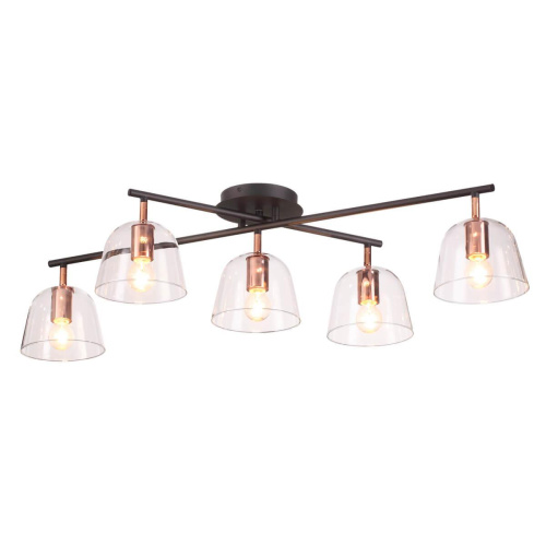Потолочная люстра Lumion Joseph 4455/5C Потолочная люстра Lumion Joseph 4455/5C