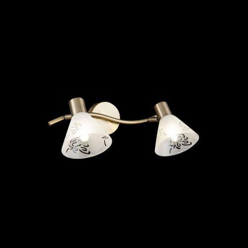 Спот Freya Paola FR7001WL-02BZ Спот Freya Paola FR7001WL-02BZ