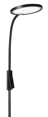 Торшер Camelion KD-836F C02 13407
