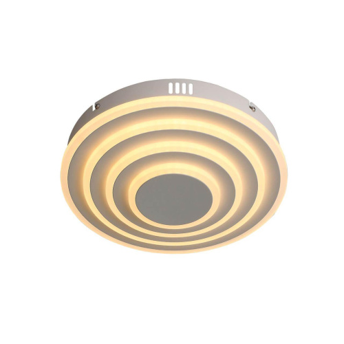 Потолочный светодиодный светильник ST Luce Тorres SL847.502.02