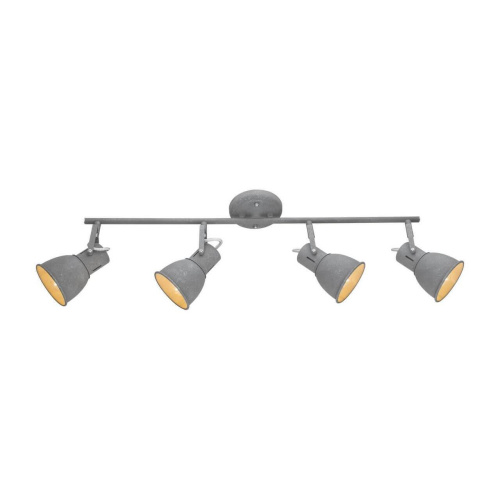 Спот Arte Lamp A1677PL-4GY Спот Arte Lamp A1677PL-4GY
