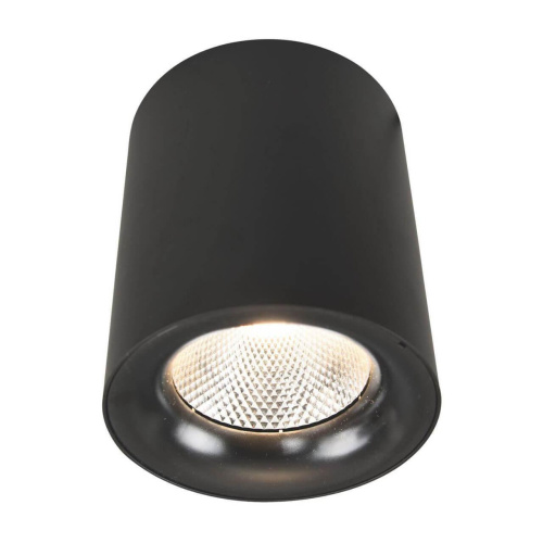 Потолочный светодиодный светильник Arte Lamp Facile A5118PL-1BK Потолочный светодиодный светильник Arte Lamp Facile A5118PL-1BK