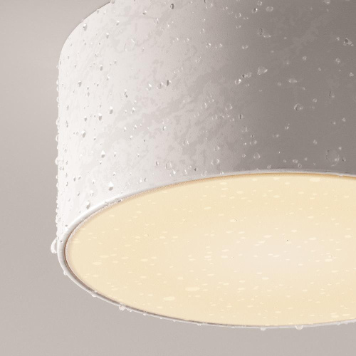 Потолочный светильник Outdoor O430CL-L15W3K Потолочный светильник Outdoor O430CL-L15W3K