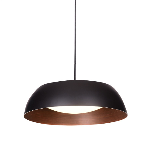 Подвесной светильник PL019-400B Black and Copper Подвесной светильник PL019-400B Black and Copper