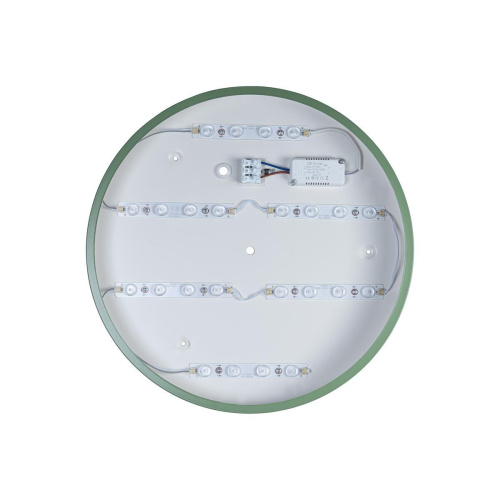Потолочный светодиодный светильник Loft IT Axel 10002/24 green Потолочный светодиодный светильник Loft IT Axel 10002/24 green
