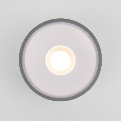 Уличный светодиодный светильник Elektrostandard Light Led 35141/H серый a057472 Уличный светодиодный светильник Elektrostandard Light Led 35141/H серый a057472