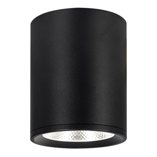 Потолочный светодиодный светильник Escada 20003SMU/02LED SBK Потолочный светодиодный светильник Escada 20003SMU/02LED SBK