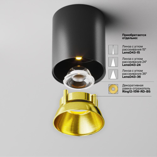 Потолочный светильник Technical C064CL-12W3K-RD-B Потолочный светильник Technical C064CL-12W3K-RD-B