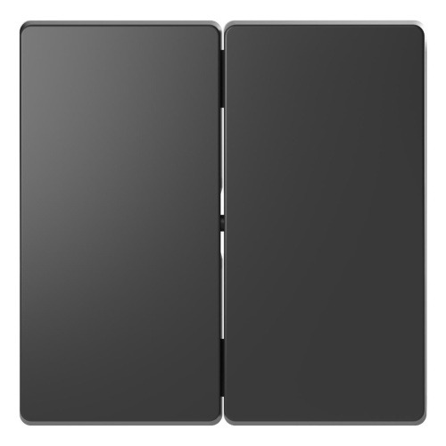 Клавиша двойная Schneider Electric Merten D-Life MTN3400-6034 Клавиша двойная Schneider Electric Merten D-Life MTN3400-6034
