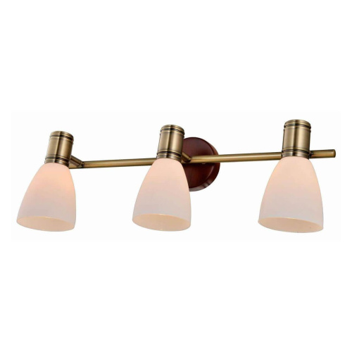 Спот Toplight Sharyl TL3720Y-03BB Спот Toplight Sharyl TL3720Y-03BB