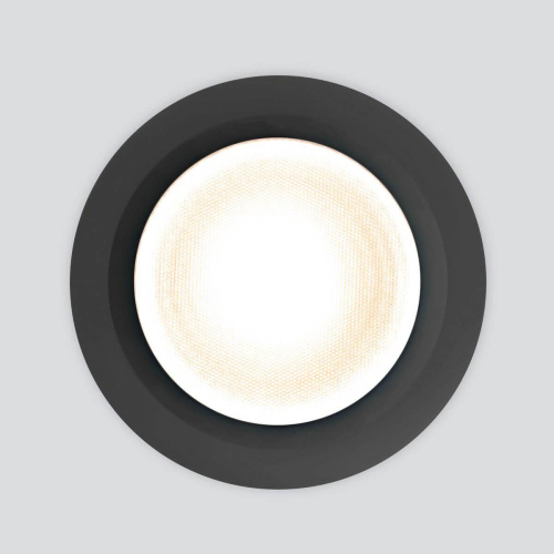 Уличный светодиодный светильник Elektrostandard Light Led 3003 35128/U черный a058922 Уличный светодиодный светильник Elektrostandard Light Led 3003 35128/U черный a058922