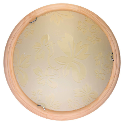 Настенно-потолочный светодиодный светильник Toplight Jane TL9640Y-00PN Настенно-потолочный светодиодный светильник Toplight Jane TL9640Y-00PN