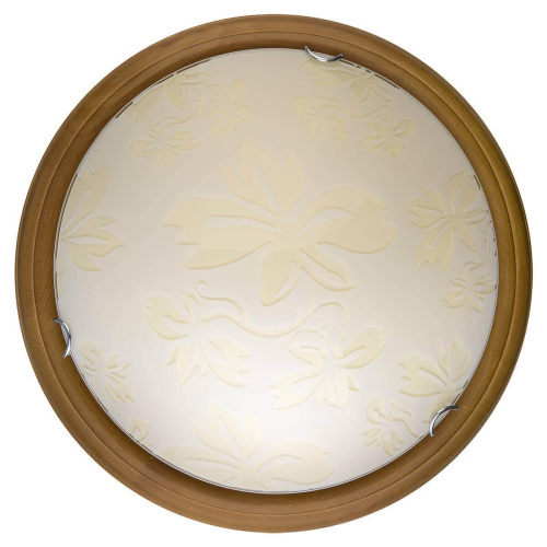 Настенно-потолочный светодиодный светильник Toplight Jane TL9640Y-00OA Настенно-потолочный светодиодный светильник Toplight Jane TL9640Y-00OA