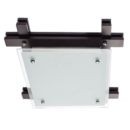Потолочный светильник Arte Lamp 94 A6462PL-2CK Потолочный светильник Arte Lamp 94 A6462PL-2CK