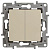 Переключатель двухклавишный Legrand Etika 10A 250V слоновая кость 672312