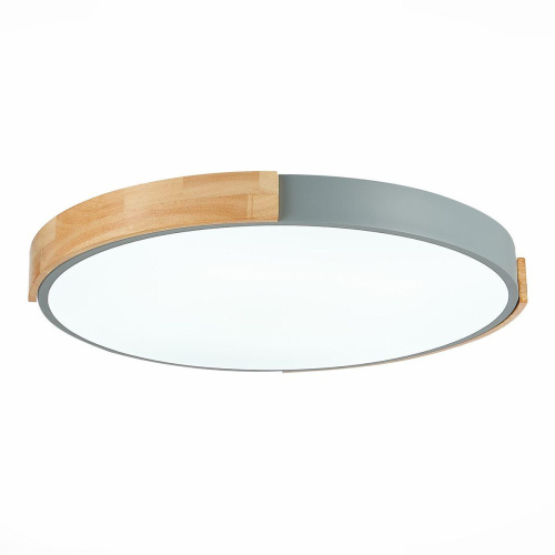 Потолочный сетодиодный светильник Evoluce Delia SLE201372-01 Потолочный сетодиодный светильник Evoluce Delia SLE201372-01