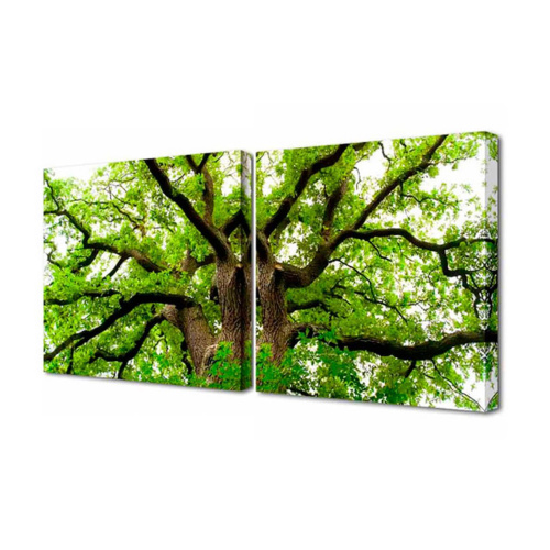 Модульная картина Toplight Природа 50х100см TL-M2029 Модульная картина Toplight Природа 50х100см TL-M2029