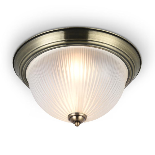 Потолочный светильник Freya Planum FR2913-CL-02-BZ Потолочный светильник Freya Planum FR2913-CL-02-BZ