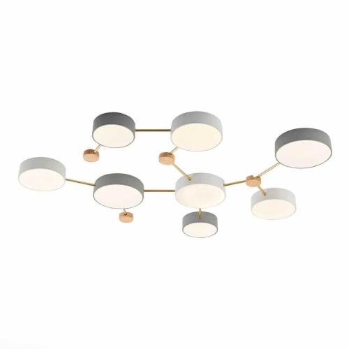Потолочный светильник Evoluce DOSSENA SLE600102-08 Потолочный светильник Evoluce DOSSENA SLE600102-08