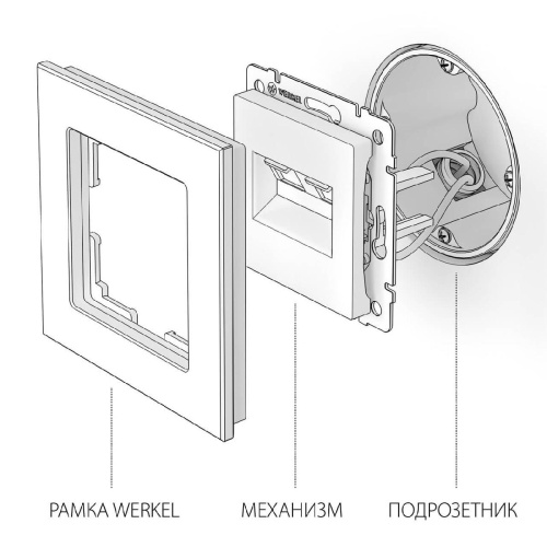 Розетка двойная Ethernet RJ-45 Werkel серебряный W1181106 4690389156489 Розетка двойная Ethernet RJ-45 Werkel серебряный W1181106 4690389156489