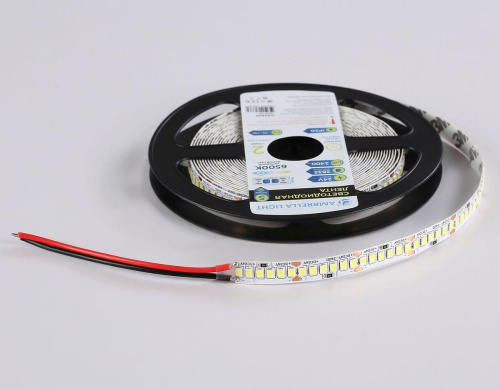 Светодиодная лента Ambrella Light 20W/m 240LED/m 2835SMD холодный белый 5M GS3403 Светодиодная лента Ambrella Light 20W/m 240LED/m 2835SMD холодный белый 5M GS3403