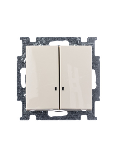 Выключатель двухклавишный ABB Basic55 10A 250V с подсветкой слоновая кость 2CKA001012A2157 Выключатель двухклавишный ABB Basic55 10A 250V с подсветкой слоновая кость 2CKA001012A2157