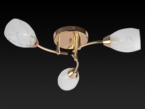 Потолочная люстра Toplight Lucy TL7120X-03FG Потолочная люстра Toplight Lucy TL7120X-03FG
