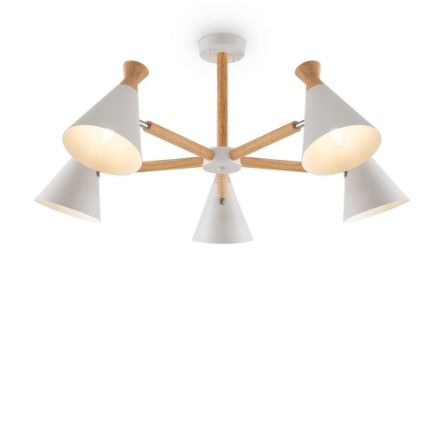 Потолочная люстра Freya Rise FR5169PL-05W Потолочная люстра Freya Rise FR5169PL-05W