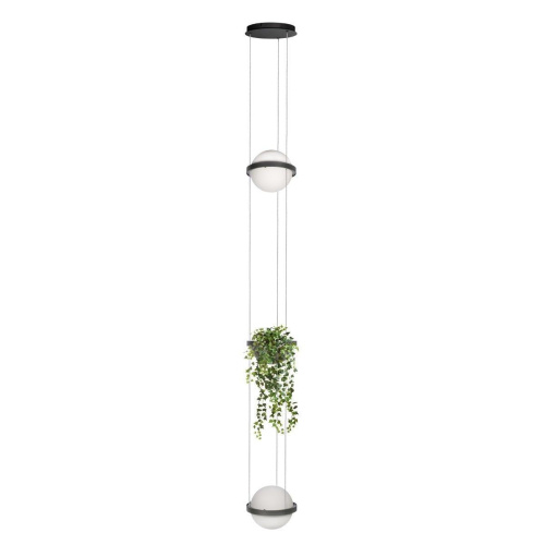 Подвесной светодиодный светильник Loft IT Jardin 10121/2P Dark grey Подвесной светодиодный светильник Loft IT Jardin 10121/2P Dark grey