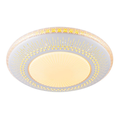 Потолочный светодиодный светильник Escada 10213/1LED Потолочный светодиодный светильник Escada 10213/1LED