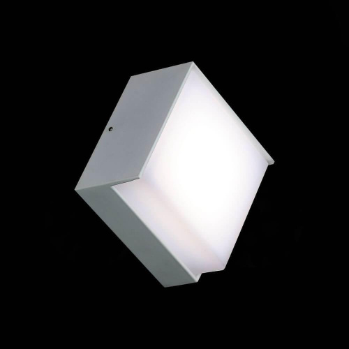 Уличный настенный светодиодный светильник ST Luce Linata SL090.501.01 Уличный настенный светодиодный светильник ST Luce Linata SL090.501.01