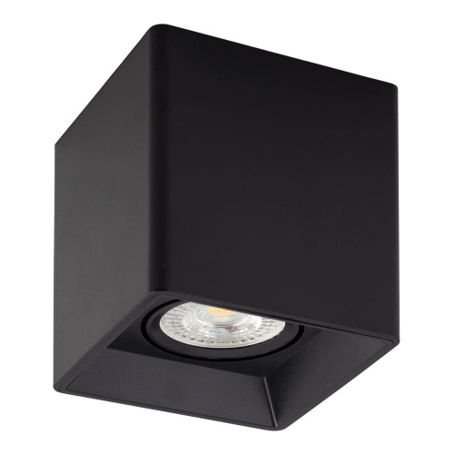 Потолочный светильник Denkirs DK3030-BK Потолочный светильник Denkirs DK3030-BK