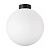 Настенно-потолочный светильник Lightstar Globo 812037
