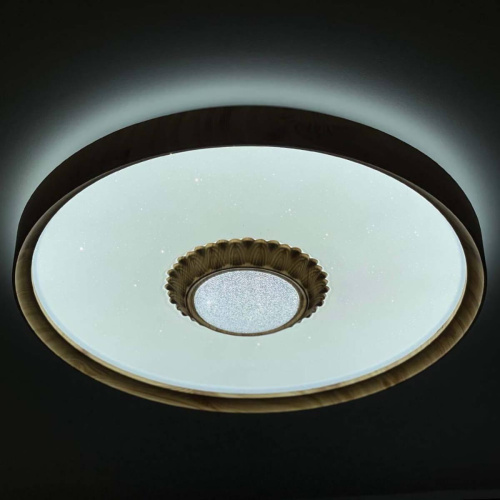 Потолочный светодиодный светильник Profit Light 2090/450 WH+WD RGB Потолочный светодиодный светильник Profit Light 2090/450 WH+WD RGB
