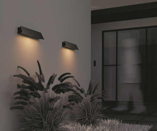 Настенный светильник (бра) Outdoor O429WL-L10GF3K
