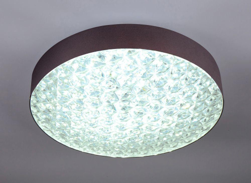 Потолочный светодиодный светильник Escada 10246/1LED Потолочный светодиодный светильник Escada 10246/1LED