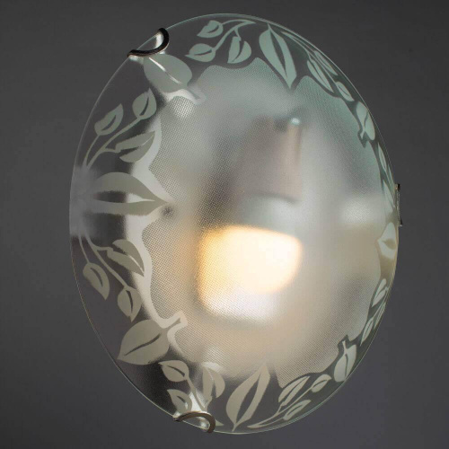 Настенный светильник Arte Lamp Leaves A4020PL-1CC Настенный светильник Arte Lamp Leaves A4020PL-1CC