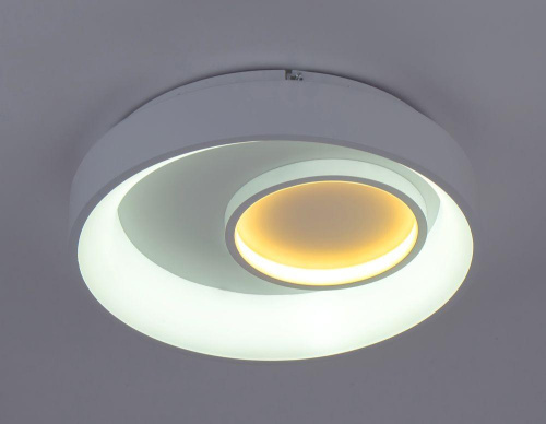 Потолочный светодиодный светильник Escada 10207/2LED