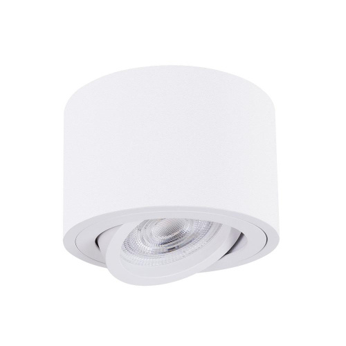 Точечный накладной светильник Arte Lamp UNITO A2260PL-1WH Точечный накладной светильник Arte Lamp UNITO A2260PL-1WH