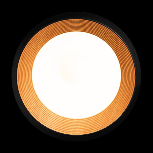 Потолочный светильник Loft IT Folk 10255/500 Black Потолочный светильник Loft IT Folk 10255/500 Black