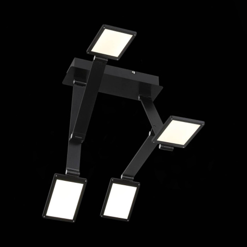 Потолочная светодиодная люстра ST Luce Teocoli SL841.402.04 Потолочная светодиодная люстра ST Luce Teocoli SL841.402.04