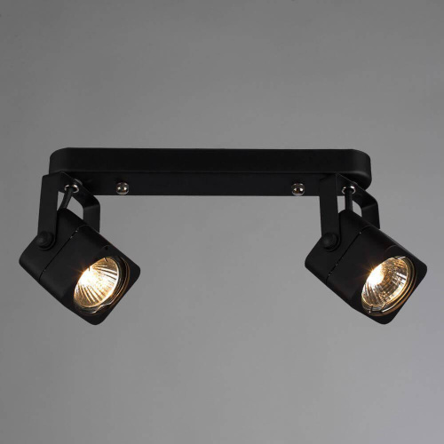 Спот Arte Lamp Lente A1314PL-2BK Спот Arte Lamp Lente A1314PL-2BK