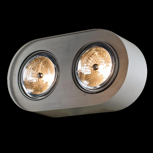 Потолочный светильник Arte Lamp Cliff A5643PL-2WH Потолочный светильник Arte Lamp Cliff A5643PL-2WH