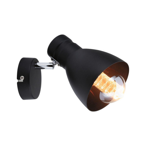 Спот Paulmann Davy 66759 Спот Paulmann Davy 66759