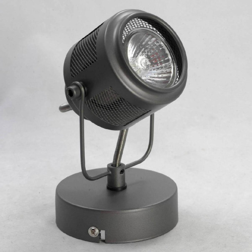 Спот Lussole Loft Haines GRLSP-8045 Спот Lussole Loft Haines GRLSP-8045