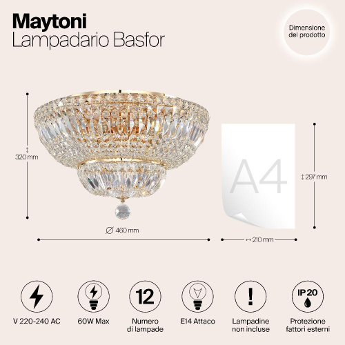 Потолочный светильник Maytoni Basfor DIA100-CL-12-G Потолочный светильник Maytoni Basfor DIA100-CL-12-G