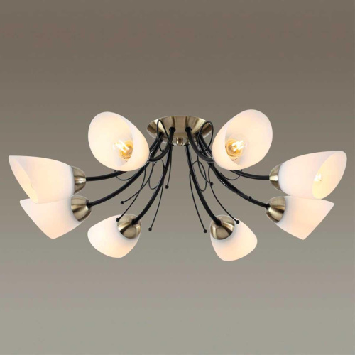 Потолочная люстра Lumion Comfi Eliana 4592/8C Потолочная люстра Lumion Comfi Eliana 4592/8C