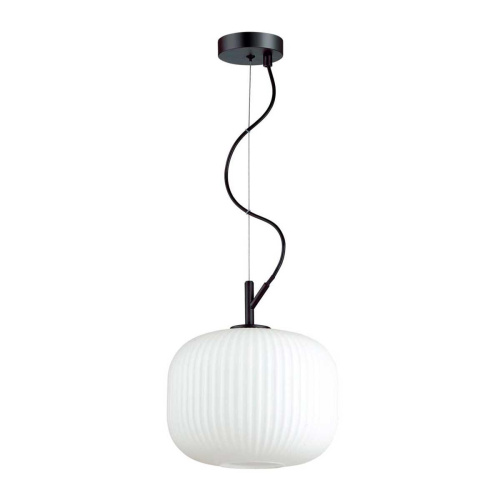 Подвесной светильник Odeon Light Roofi 4753/1 Подвесной светильник Odeon Light Roofi 4753/1